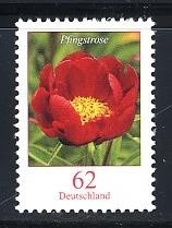 Bund, Michel Nr. 3114 postfrisch - Freimarke Blumen: 62 cent Pfingstrose