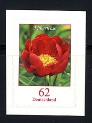 Bund, Michel Nr. 3121 postfrisch - Freimarke Blumen Pfingstrose - selbstklebend
