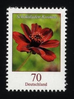 Bund, Michel Nr. 3189 postfrisch - Freimarke Blumen: 70 cent Schokoladen-Kosmee