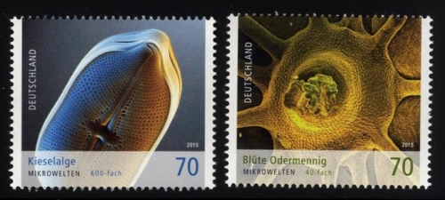 Bund, Michel Nr. 3192-3193 postfrisch - Mikrowelten: Kieselalge, Odermennig-Blüte