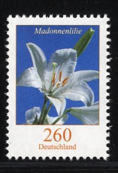 Bund, Michel Nr. 3207 postfrisch - Freimarke Blumen 260 cent Madonnenlilie (Lilium candidum)