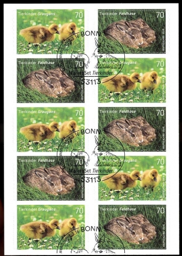 Bund, Folienblatt 55 gestempelt ESST - 3222-3223 - Feldhase, Graugans