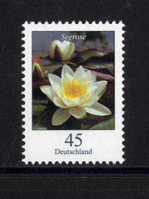 Bund, Michel Nr. 3303 postfrisch - Freimarke Blumen: 45 cent Weiße Seerose