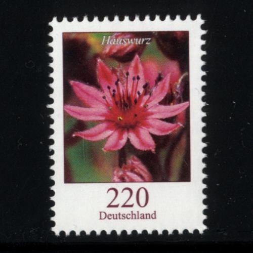 Bund, Michel Nr. 3414 postfrisch - Freimarke Blumen: 220 cent Hauswurz (Sempervivum sp.)