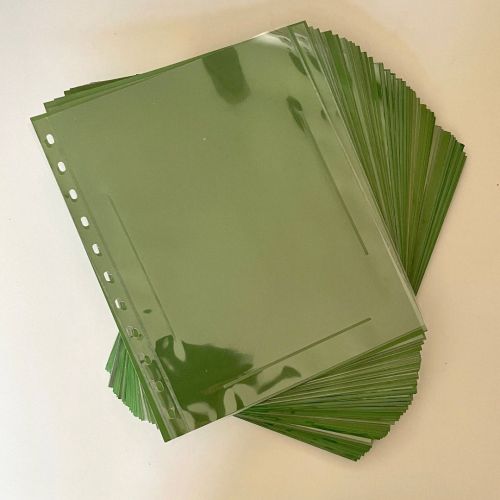 50x SAFE Variant Einsteckblätter 863 transparent, grünes Zwischenblatt gebraucht