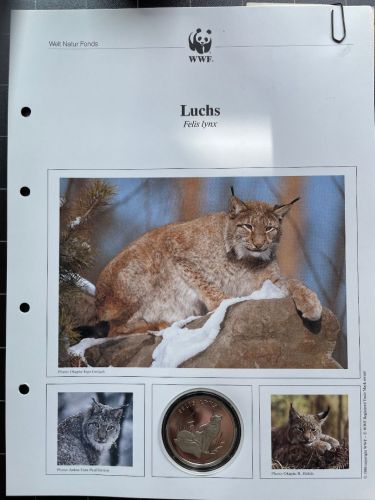 30 JAHRE WWF - Luchs 1991 Felix lynx - 999 SILBER / 20g