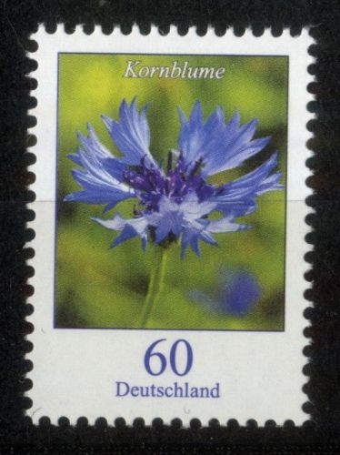 Bund, Michel Nr. 3468 postfrisch - Freimarke Blumen: 60 cent Kornblume (Cyanus segetum)
