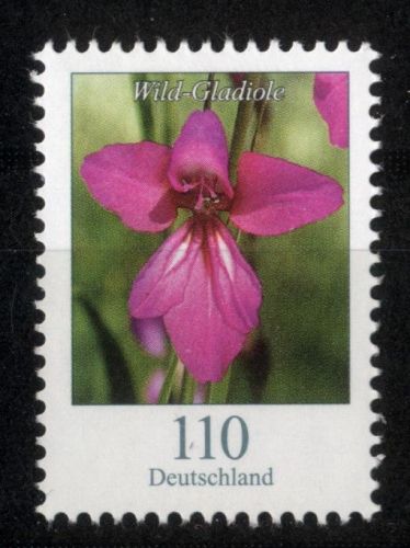 Bund, Michel Nr. 3471 postfrisch - Freimarke Blumen: 110 cent Wildgladiole (Gladiolus palustris)