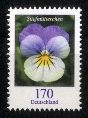 Bund, Michel Nr. 3473 postfrisch - Freimarke Blumen 170 cent Stiefmütterchen (Viola tricolor)
