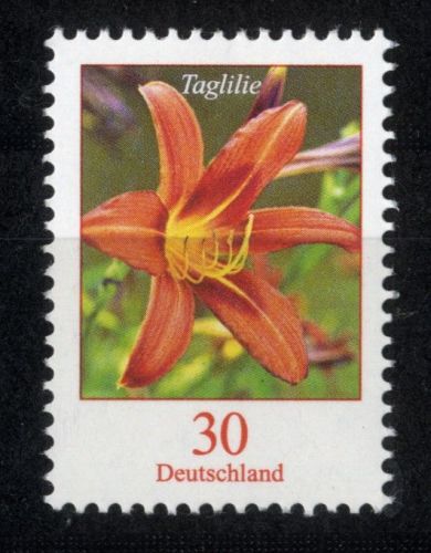 Bund, Michel Nr. 3509 postfrisch - Freimarke Blumen: 30 cent Taglilie (Hemerocallis fulva)