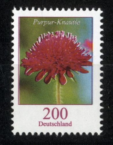 Bund, Michel Nr. 3556 postfrisch - Freimarke Blumen 200 cent Purpur-Knautie (Knautia macedonica)