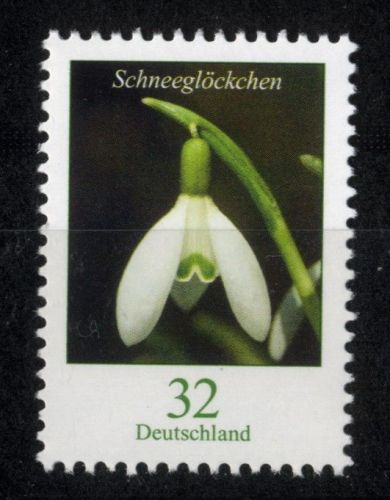 Bund, Michel Nr. 3655 postfrisch - Freimarke Blumen 0,32€ Schneeglöckchen (Galanthus nivalis)