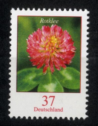 Bund, Michel Nr. 3656 postfrisch - Freimarke Blumen 0,37 € Rotklee (Trifolium pratense)