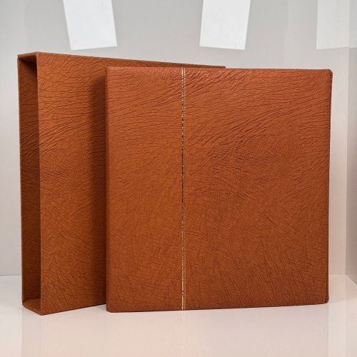 SAFE SKAI Ringbinder Favorit 704 Hellbraun Leder mit Kassette gebraucht