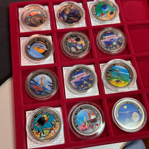 12x Farbmünzen "Marine Life Protection" – aus Ozeanien & Afrika (Palau, Ghana etc.)