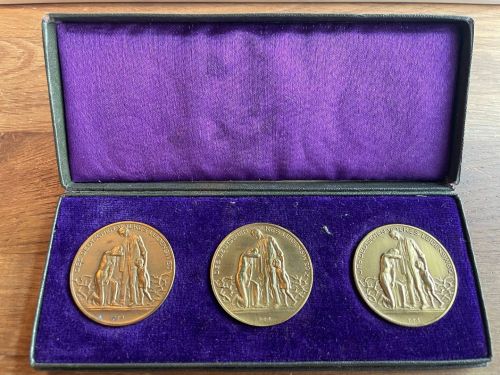 3 Medaillen Des Deutschen Volkes Leidensweg 1923 - Inflationsmedaille in Schatulle