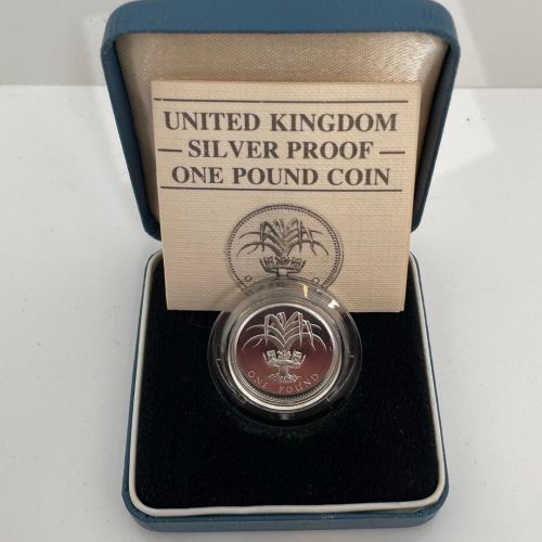 Großbritannien, 1 Pfund 1985 PP Welsh Leek; Silver Proof, Elisabeth II.