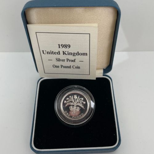 Großbritannien, 1 Pfund 1989 PP Scottish Thistle; Silver Proof, Elisabeth II.