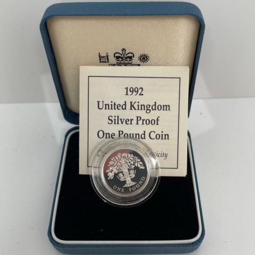 Großbritannien, 1 Pfund 1991 PP Northern Irish Flax; Silver Proof, Elisabeth II.