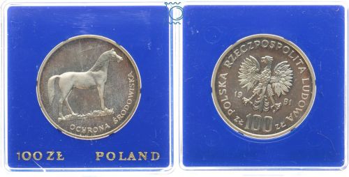 Polen 100 Zloty 1981 PP | Mongolisches Wildpferd