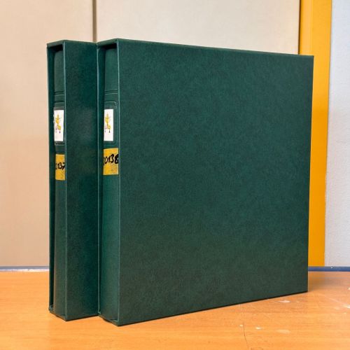 VATIKAN 1969-1995 postfrische Sammlung Lindner Vordruck in 2 Ringbindern