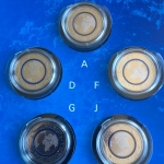 5 x 5 EURO 2016 ADFGJ - Blauer Planet Erde - im Folder