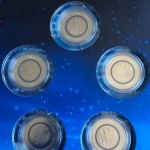 5 x 5 EURO 2016 ADFGJ - Blauer Planet Erde - im Folder