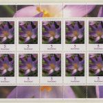 BRD Bund Freimarke Blumen Zehnerbogen postfrisch Kleinbogen ohne EAN =>Aussuchen