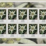 BRD Bund Freimarke Blumen Zehnerbogen postfrisch Kleinbogen ohne EAN =>Aussuchen