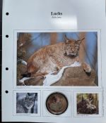 30 JAHRE WWF - Luchs 1991 Felix lynx - 999 SILBER / 20g
