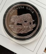30 JAHRE WWF - Jaguar 1992 Panthera onca - 999 SILBER / 20g