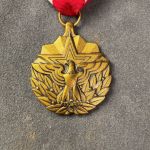 US MILITARY Army Meritorious Service & For Military Merit Medal Orden in Etui