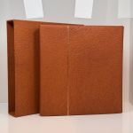SAFE SKAI Ringbinder Favorit 704 Hellbraun Leder mit Kassette gebraucht