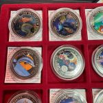 12x Farbmünzen "Marine Life Protection" – aus Ozeanien & Afrika (Palau, Ghana etc.)