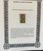 IRRTÜMER AUF BRIEFMARKEN Motivsammlung mit über 160 Seiten aus Abo im Ringbinder