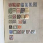 SCHWARTE Album ALLE WELT - Briefmarken Sammlung in zwei Alben - Hoher Michel!