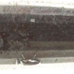 Graf Zeppelin 1929 LZ 130 | Pin Anstecknadel aus Sammlerhand
