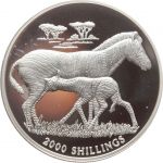 Uganda - 2000 Shillings 1999 - Zebra Zebras PP in Kapsel - RAR!