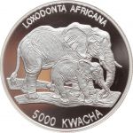 Zambia / Sambia 5000 Kwacha 1999 - Elefanten - Proof PP