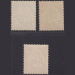 Deutsch Kolonien Kiautschou - MiNr. 5-7 postfrisch
