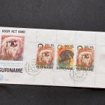 10 Belege Surinam, FDC (AVH3540)