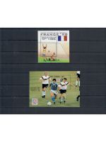 Motiv Fußball WM, 10 Blocks/KB **, ü. 75,- € Michel, jede Ausgabe abgebildet