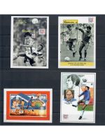 Motiv Fußball WM, 11 Blocks/KB **, ü. 75,- € Michel, jede Ausgabe abgebildet