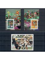 Motiv Fußball WM, 13 Blocks/KB **, über 75,- € Michel, jede Ausgabe