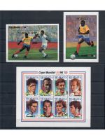 Motiv Fußball WM, 10 Blocks/KB **, ü. 75,- € Michel, jede Ausgabe abgebildet