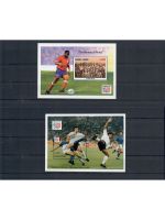 Motiv Fußball WM, 10 Blocks/KB **, ü. 75,- € Michel, jede Ausgabe abgebildet