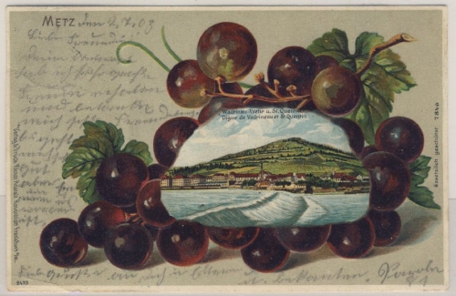 Lothringen - Metz farb. Präge-AK Ortsansicht Rebenmotiv - gelaufen 1903