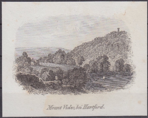 USA - Mount Video bei Hartford, Original-Stich 19. Jhdt., ca. 10x8cm - siehe
