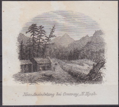 USA - Neue Ansiedelung bei Conway N.Hpsh, Original-Stich 19. Jhdt., ca. 10x9cm