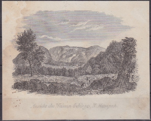 USA - Ansicht des Weissen Gebirges N.Hampsh, Original-Stich 19. Jhdt., ca.